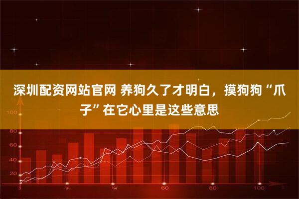 深圳配资网站官网 养狗久了才明白，摸狗狗“爪子”在它心里是这些意思
