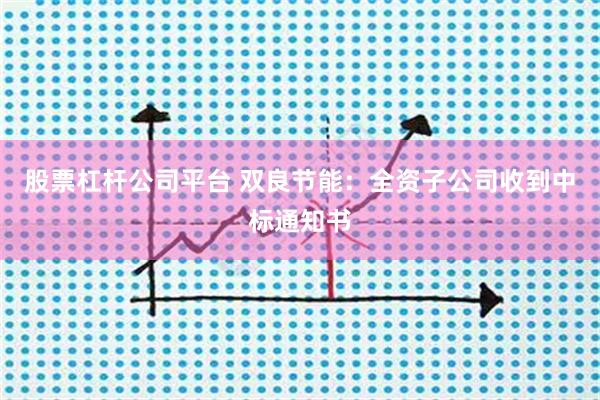 股票杠杆公司平台 双良节能：全资子公司收到中标通知书