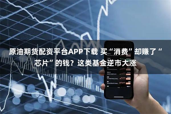 原油期货配资平台APP下载 买“消费”却赚了“芯片”的钱？这类基金逆市大涨